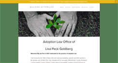 Desktop Screenshot of buildingnyfamilies.com