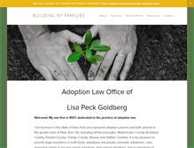 Tablet Screenshot of buildingnyfamilies.com